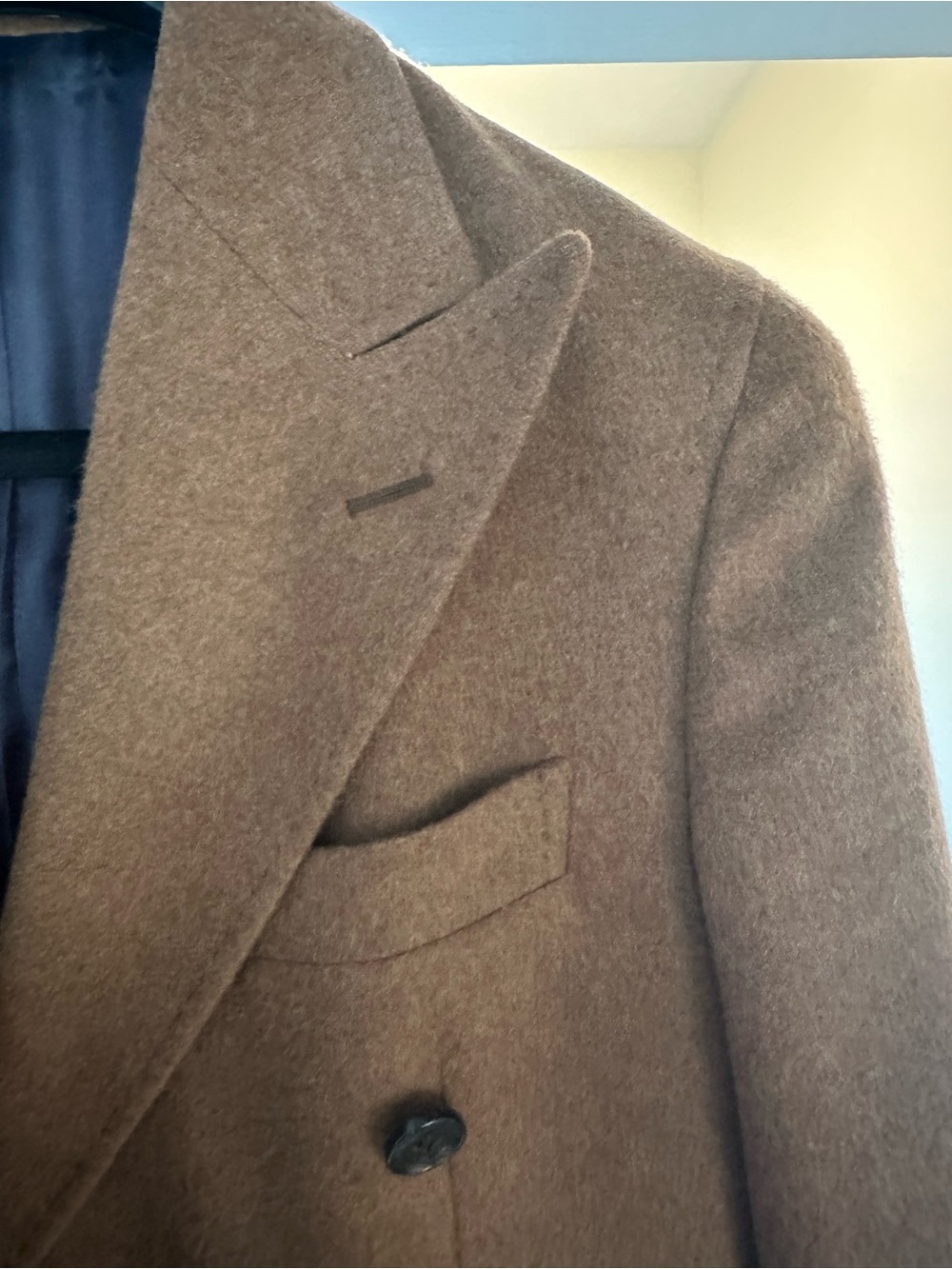 Suitsupply Cashmere Double-Breasted Top Coat - Picture 9 of 11